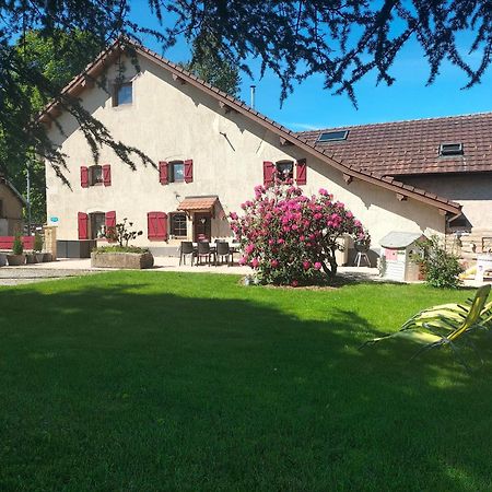 Gite Belle Fleur 6 Personnes- Vosges Saint-Nabord Buitenkant foto