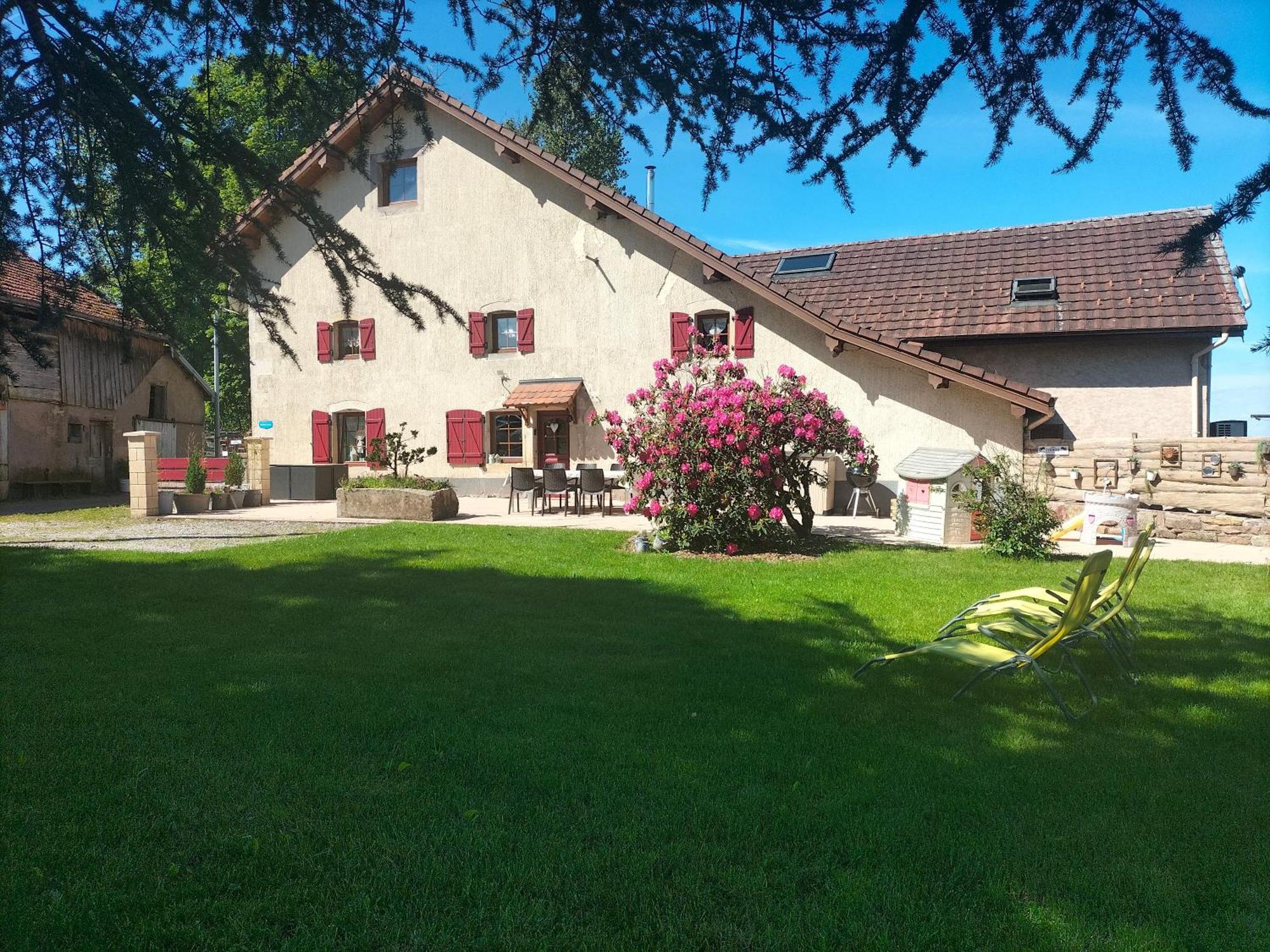 Gite Belle Fleur 6 Personnes- Vosges Saint-Nabord Buitenkant foto